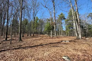 Lot 43 Rapids Point Trail, Great Cacapon, WV 25422 - Photo 1