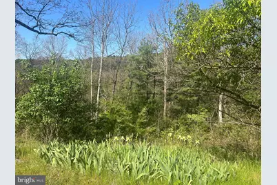 153 Mullen Lane, Berkeley Springs, WV 25411 - Photo 1