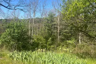 153 Mullen Ln, Berkeley Springs, WV 25411 - Photo 1