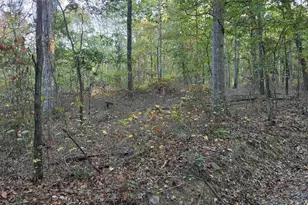 Hungaria Rd, Berkeley Springs, WV 25411 - Photo 1
