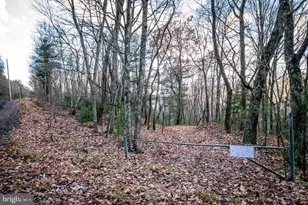 Lot 22 Buck Ridges Rd, Franklin, WV 26807 - Photo 1
