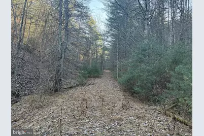 Buck Hill Lane, Sugar Grove, WV 26815 - Photo 1