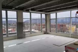 218 W Water St St, Charlottesville, VA 22902 - Photo 13