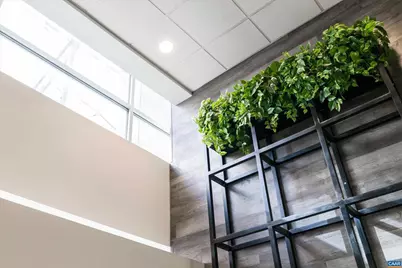 218 W Water St, Charlottesville, VA 22902 - Photo 3