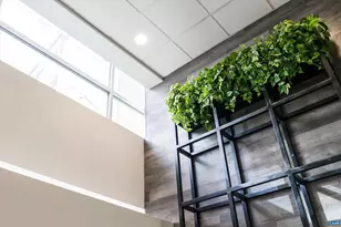 218 W Water St, Charlottesville, VA 22902 - Photo 3