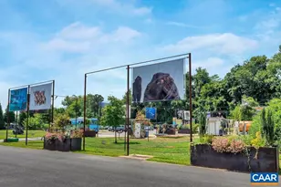 1509 SE 6th St, Charlottesville, VA 22902 - Photo 57