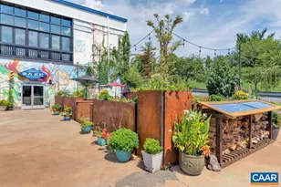 1509 SE 6th St, Charlottesville, VA 22902 - Photo 63