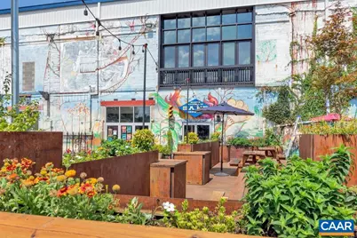 1509 SE 6th St, Charlottesville, VA 22902 - Photo 43