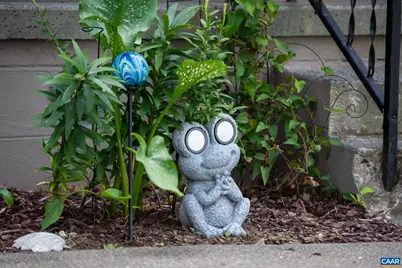 2625 Martin Kings Rd, Scottsville, VA 24590 - Photo 3