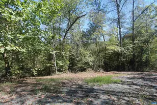 Tbd-2 Toco Hill, North Garden, VA 22959 - Photo 1