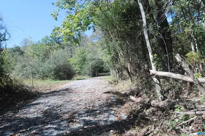 Tbd-4 Toco Hl #020B3, North Garden, VA 22959 - Photo 7