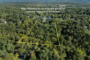 1704 Old Brook Rd, Charlottesville, VA 22901 - Photo 9