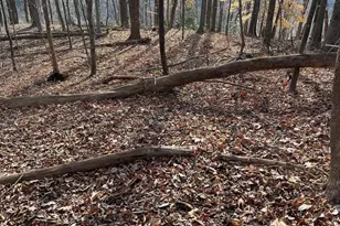 Monacan Trail Rd, Covesville, VA 22931 - Photo 1