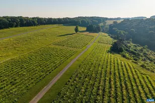 24981 Blue Ridge Pkwy, Vesuvius, VA 24483 - Photo 73