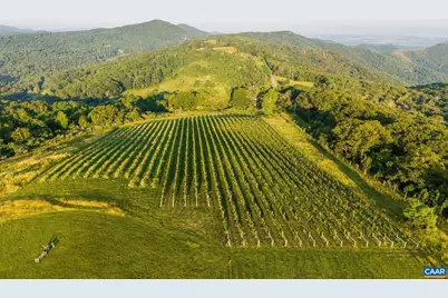 24981 Blue Ridge Pkwy, Vesuvius, VA 24483 - Photo 57