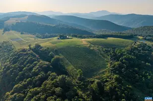 24981 Blue Ridge Pkwy, Vesuvius, VA 24483 - Photo 69