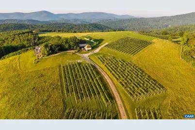 24981 Blue Ridge Pkwy, Vesuvius, VA 24483 - Photo 51