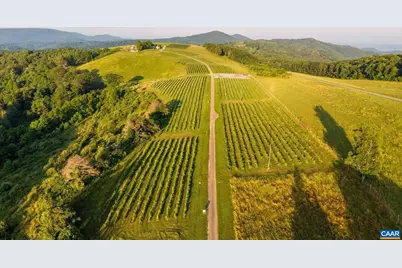 24981 Blue Ridge Pkwy, Vesuvius, VA 24483 - Photo 11