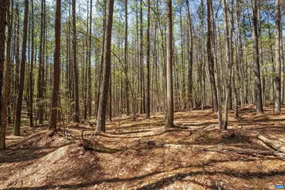 Lot 27 Martin Kings Rd #07600, Charlottesville, VA 22902 - Photo 21
