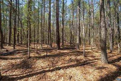 Lot 27 Martin Kings Rd #07600, Charlottesville, VA 22902 - Photo 33