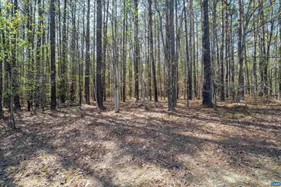 Lot 27 Martin Kings Rd #07600, Charlottesville, VA 22902 - Photo 37