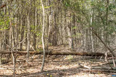 Lot 27 Martin Kings Rd #07600, Charlottesville, VA 22902 - Photo 35