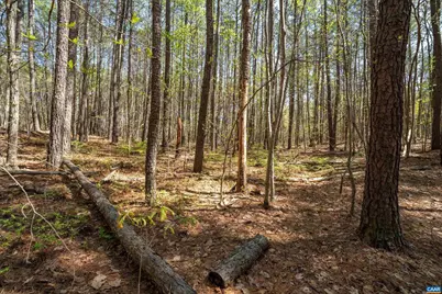 Lot 27 Martin Kings Rd #07600, Charlottesville, VA 22902 - Photo 23