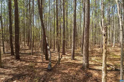 Lot 27 Martin Kings Rd #07600, Charlottesville, VA 22902 - Photo 19