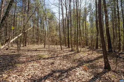 Lot 27 Martin Kings Rd #07600, Charlottesville, VA 22902 - Photo 27