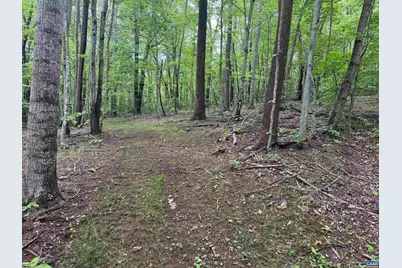 Tbd Rabbit Valley Rd, North Garden, VA 22959 - Photo 3