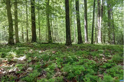 Lot E Link Evans Ln #E, Earlysville, VA 22936 - Photo 5