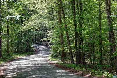 Lot E Link Evans Ln #E, Earlysville, VA 22936 - Photo 3