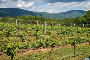 5190 Sugar Ridge Rd, Crozet, VA 22932 - Photo 65