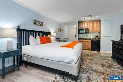 216 Timbers Condos, Wintergreen Resort, VA 22967 - Photo 5