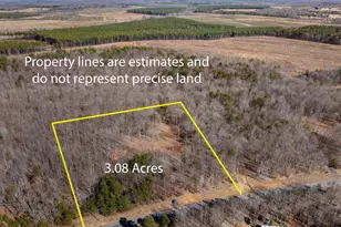 Lot 1 Ivy Rd, Howardsville, VA 24562 - Photo 29