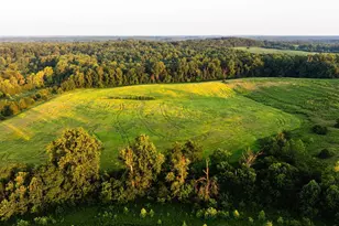 9313 Greenfield Farm, Scottsville, VA 24590 - Photo 29