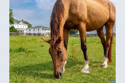 9313 Greenfield Farm, Scottsville, VA 24590 - Photo 43