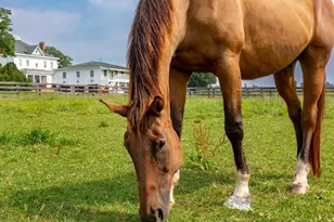 9313 Greenfield Farm, Scottsville, VA 24590 - Photo 43