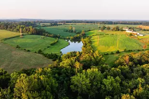 9313 Greenfield Farm, Scottsville, VA 24590 - Photo 27