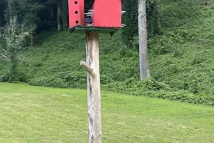 1863 River Rd, Faber, VA 22938 - Photo 5