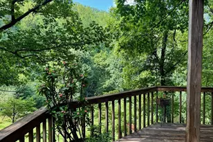 1950 Locust Hollow Rd, Charlottesville, VA 22903 - Photo 11