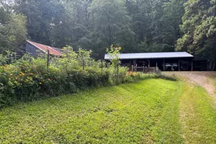 1950 Locust Hollow Rd, Charlottesville, VA 22903 - Photo 41