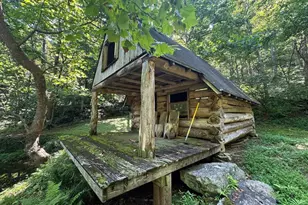 1950 Locust Hollow Rd, Charlottesville, VA 22903 - Photo 43