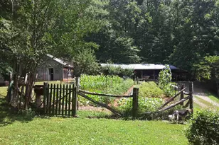 1950 Locust Hollow Rd, Charlottesville, VA 22903 - Photo 39