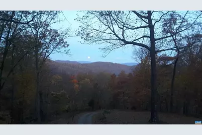 1950 Locust Hollow Rd, Charlottesville, VA 22903 - Photo 53