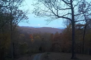 1950 Locust Hollow Rd, Charlottesville, VA 22903 - Photo 53