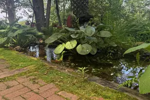 1950 Locust Hollow Rd, Charlottesville, VA 22903 - Photo 13