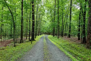 1020 Thorn Rose Ln, Charlottesville, VA 22902 - Photo 1