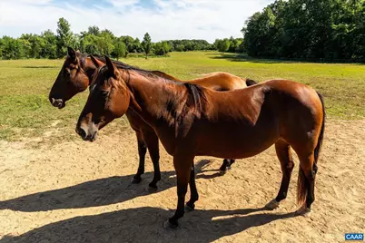 27233 Horseshoe Rd, Culpeper, VA 22701 - Photo 61