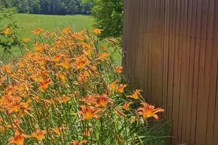 1501 Saxkey Rd, Drakes Branch, VA 23937 - Photo 35